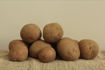 Afbeelding van Bildtstar - 4 kg.